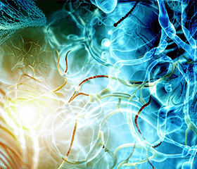 Small Molecule Compounds and the PI3K Signaling Pathway